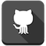 github icon